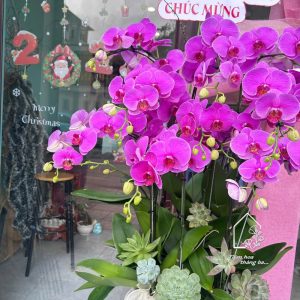 Z7426763702922 0bc471f19693039c708f441d8d10a22f