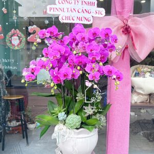 Z7426763706263 40927510ffc7cb5cda9e659f00012731