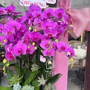 Z7426763712185 1e4484a25458af47a318d1d1c5fcb17d