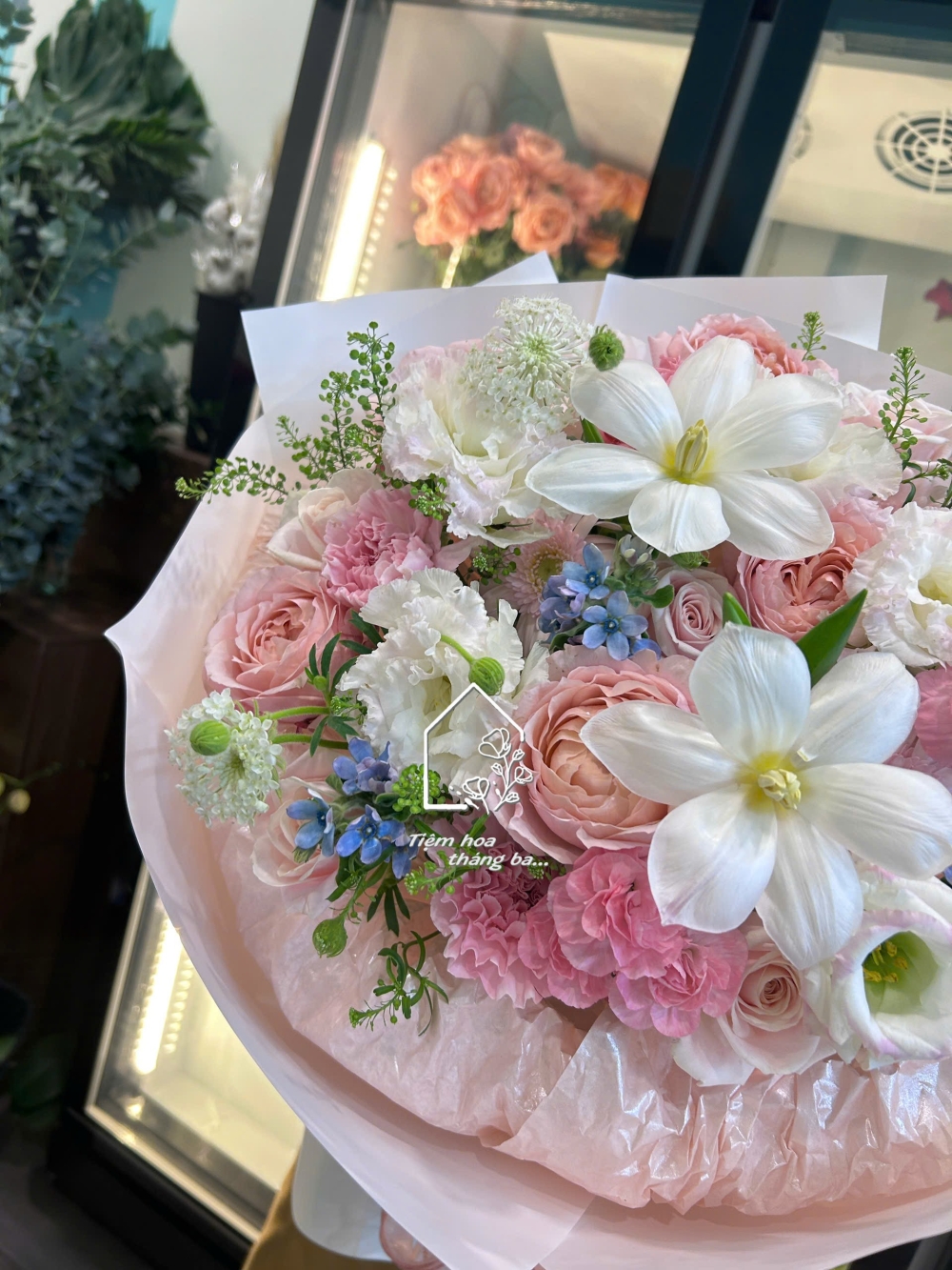 Z7426878954284 Fd0e7e60f938eadbd88852012527fe32 Z7426878954284 Fd0e7e60f938eadbd88852012527fe32