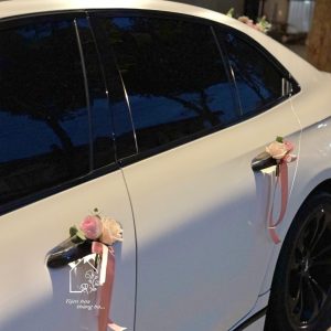 Z7429281115388 808e90c33b1fb8c3373f07f67340a57a