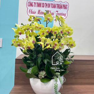 Z7429300065508 3e09e4ad33c13e931cc20aaf47f4cca3