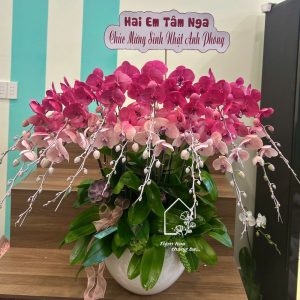 Z7429359730365 74e9841b941f48c53fb8fb48252db2e6