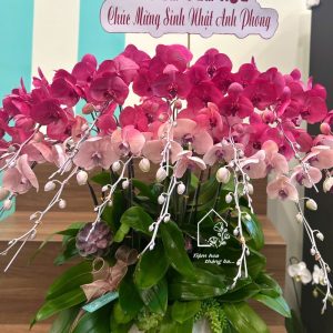 Z7429359733720 47c91b529edb53480ab8659dde06dcfa