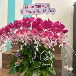 Z7429359738247 E64a7cb172abe242d962f3cce5ebc993