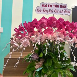 Z7429359746946 Bc3fa5be164c71a9adb4533e87d22235