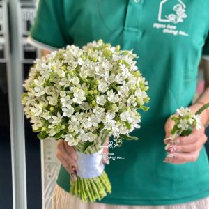 Z7456783004476 446749e22edd4ea4a3289d39430e7f02