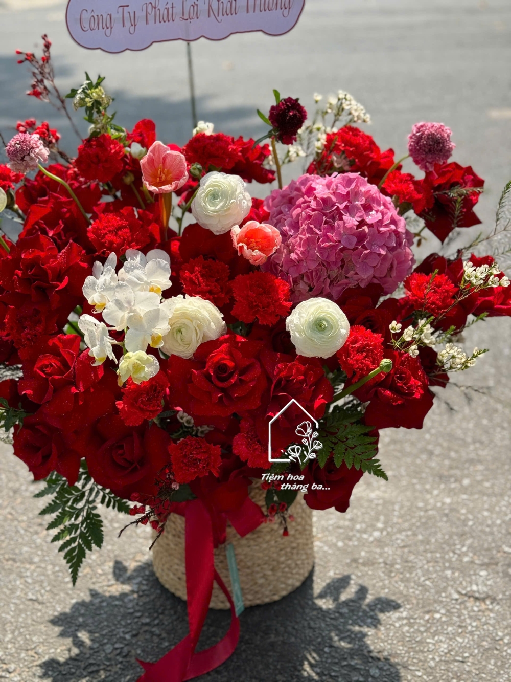 Z7465762587398 5fdd90961150b43d168f3add2cbb6bf4 Z7465762587398 5fdd90961150b43d168f3add2cbb6bf4