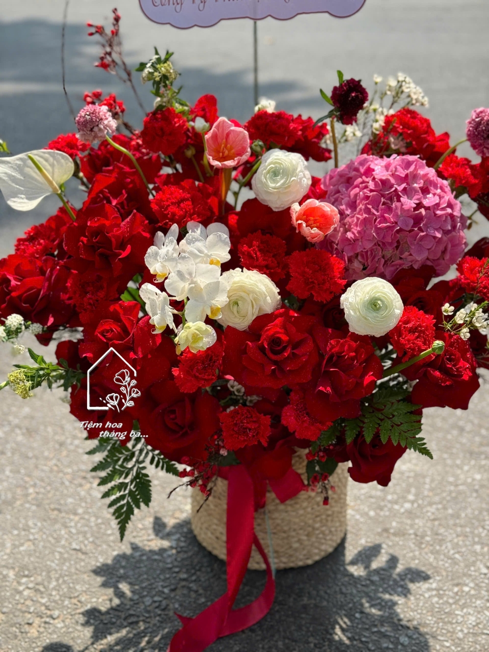 Z7465762587400 1e77414197c65f6f5ebf8dbf1f95a624 Z7465762587400 1e77414197c65f6f5ebf8dbf1f95a624