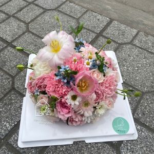 Z7472696950434 E5a8366e8b257dc879d8f53c6fb47894