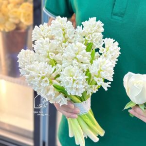 Z7484269976999 1a98afa8778cec0439879bcd6eb76fd2