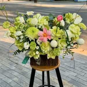 Z7511662262930 249f181e425a110877cb11b312b2e622