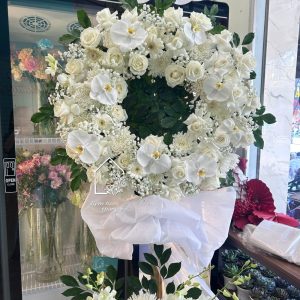 Z7511683144049 8af7348b136b44ed38b62ef1fea27738