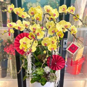 Z7511548425113 0093282d2ad4267937080b649f3bbfd2