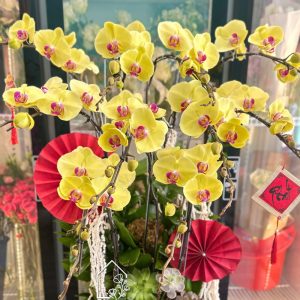 Z7511548433192 2974af7a6789aba2d931717f854eff38