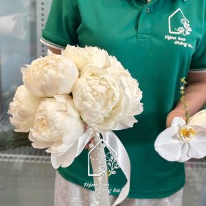 Z7594899044687 8c6a8e99b2ed61bfa17f93ba4b4b461c