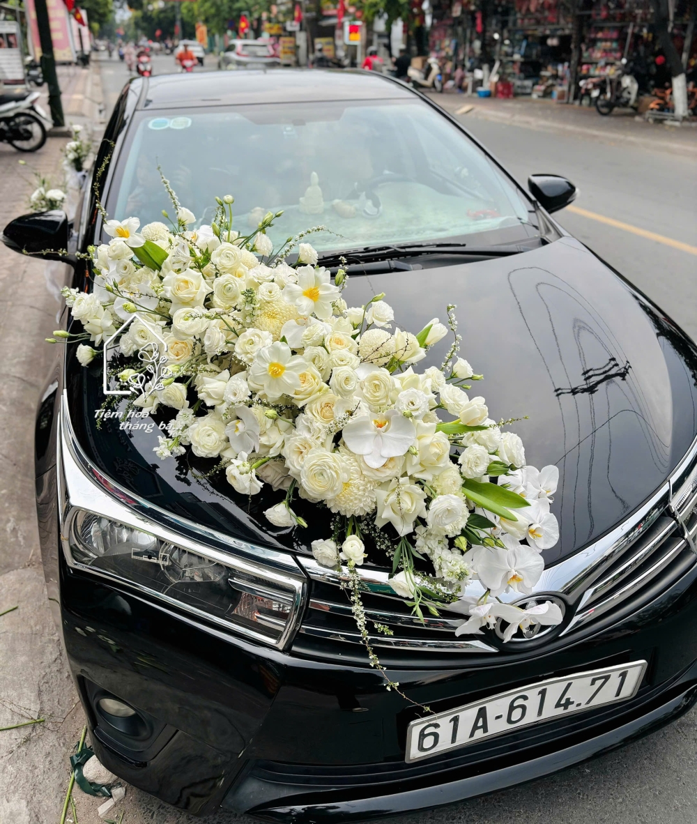 Z7614223123685 F4f7fbca6fa8a4173e184ef9fcdbf65d Z7614223123685 F4f7fbca6fa8a4173e184ef9fcdbf65d