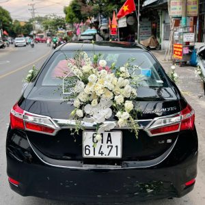 Z7614223130562 59266beba47b0d1ac244a64bdd00590c