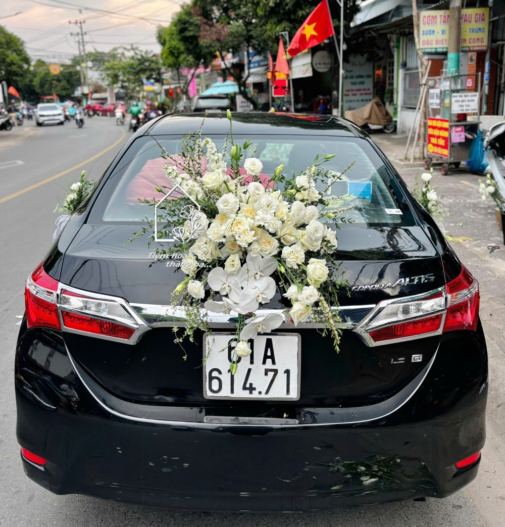 Z7614223130562 59266beba47b0d1ac244a64bdd00590c Z7614223130562 59266beba47b0d1ac244a64bdd00590c