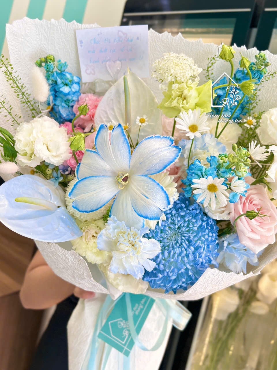 Z7686529897960 Efe960c3cf4645e5df3d678240361e4f Z7686529897960 Efe960c3cf4645e5df3d678240361e4f