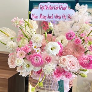 Z7690227076828 77cf443fcb9ca528fe91c988a8a19539