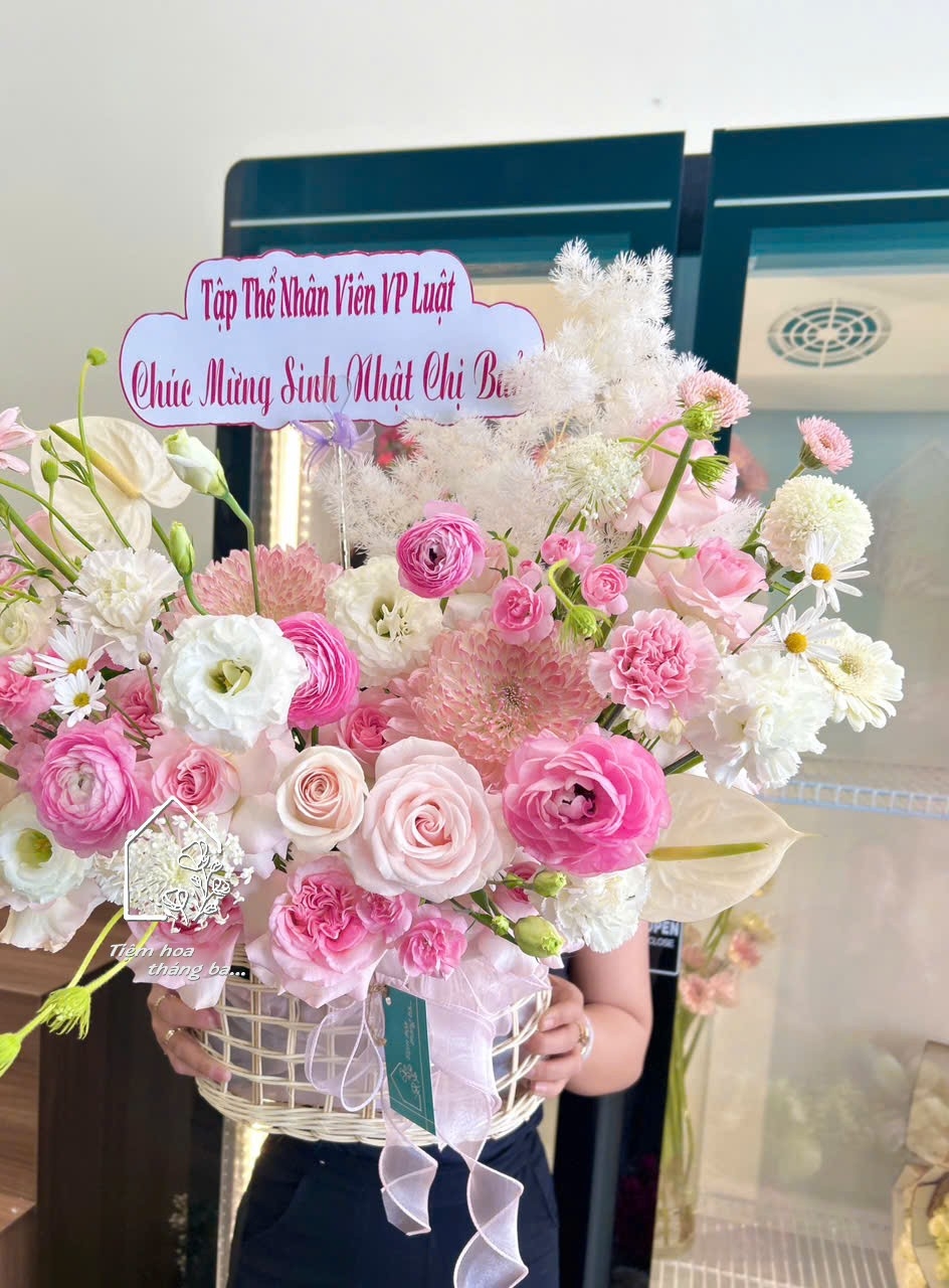 Z7690227088717 46c7271afcd93b589df531a8ff48e383 Z7690227088717 46c7271afcd93b589df531a8ff48e383