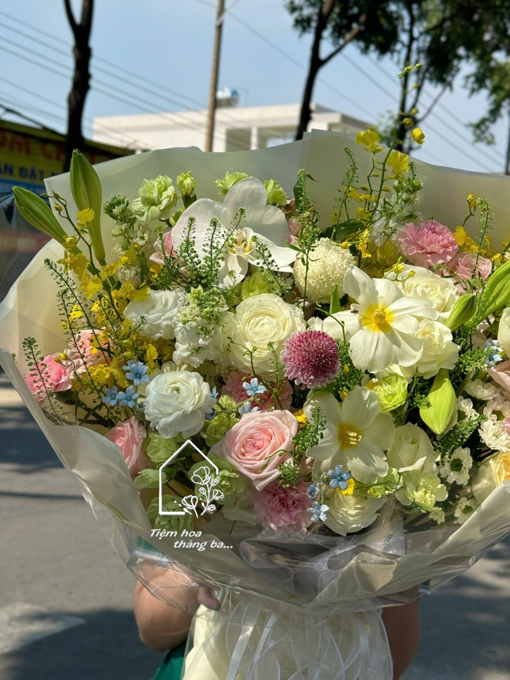 Z7703054537220 Fa88321ddb04ded3c0e3545a363c0ac8 Z7703054537220 Fa88321ddb04ded3c0e3545a363c0ac8