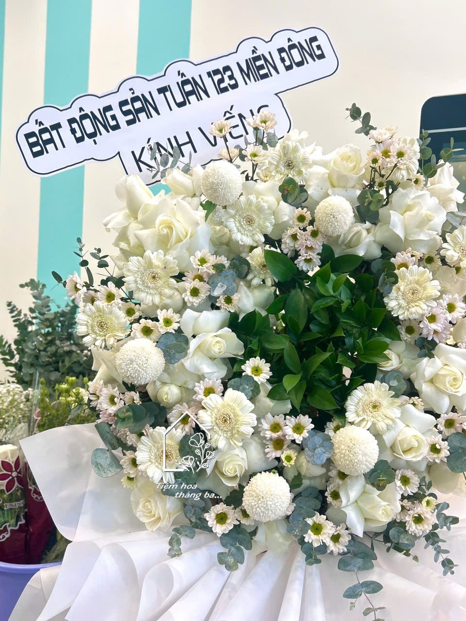 Z7704887247697 Cf1b6c3a441b25597ab5028e2fb04c46 Z7704887247697 Cf1b6c3a441b25597ab5028e2fb04c46