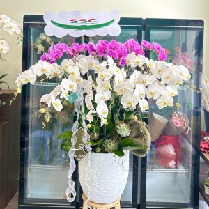 Z7704893463570 Cbf7b815f3bc3cea01e9575b0fd7c8cb