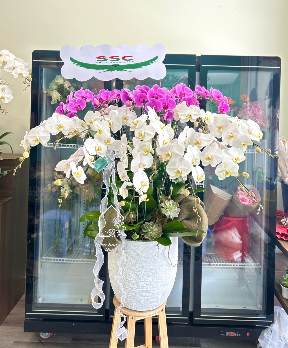 Z7704893463570 Cbf7b815f3bc3cea01e9575b0fd7c8cb Z7704893463570 Cbf7b815f3bc3cea01e9575b0fd7c8cb