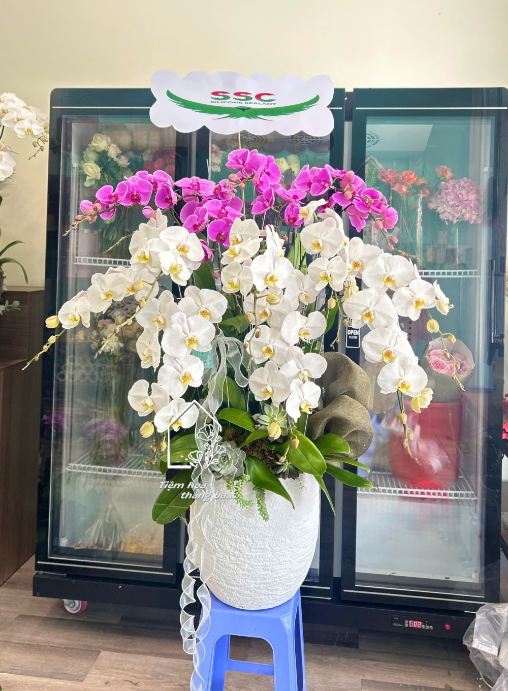 Z7704893474500 31e321af90c81e43640aa51de5514942 Z7704893474500 31e321af90c81e43640aa51de5514942