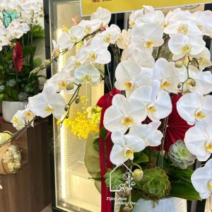 Z7704894275836 04e2ce94eeecd368a0d20684fe11e7f2