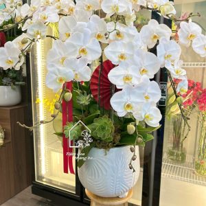 Z7704894276550 0eb4729599e25deced4e4c8132f9dcd6