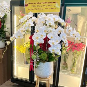 Z7704894281668 13e967567bc1a139d04f2cb5c4e5b795