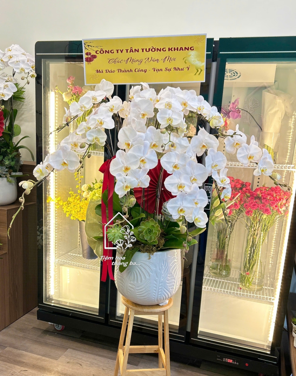 Z7704894281668 13e967567bc1a139d04f2cb5c4e5b795 Z7704894281668 13e967567bc1a139d04f2cb5c4e5b795