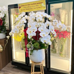 Z7704894293105 520f99598a2e1b477520627518c92fab