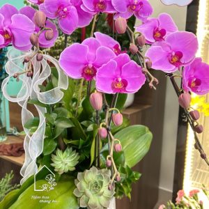 Z7704894666622 Afa1f9c82eaca1a6334791cc1fa8c551