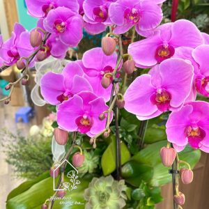 Z7704894673206 785cb7f2a247b82cf09efa79618e18f4