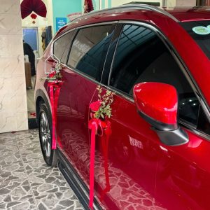 Z7704900172455 B4057ff2946f21bf2990d7bd11fea602