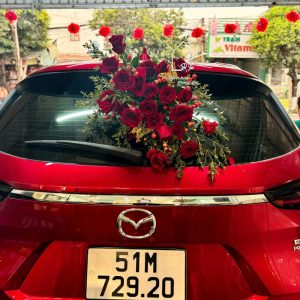 Z7704900190053 Bb203d6b53d2563a2fa5bfb08c13102f