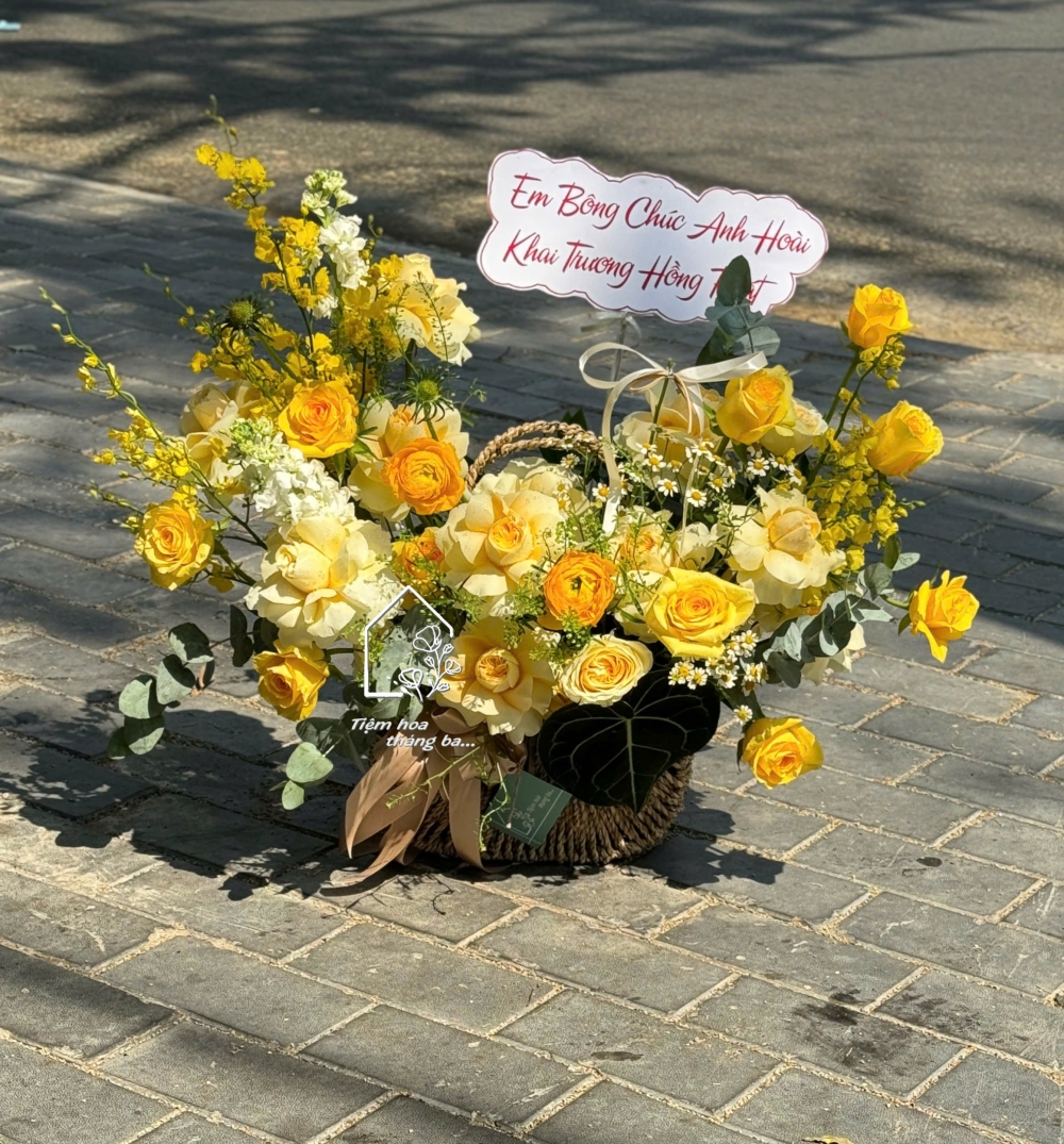 Z7704904528020 97a5f675f3641f4be5d32ca9a37483b9 Z7704904528020 97a5f675f3641f4be5d32ca9a37483b9