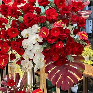 Z7704905985160 5d1986cf5a08e2202be59f954c490f12