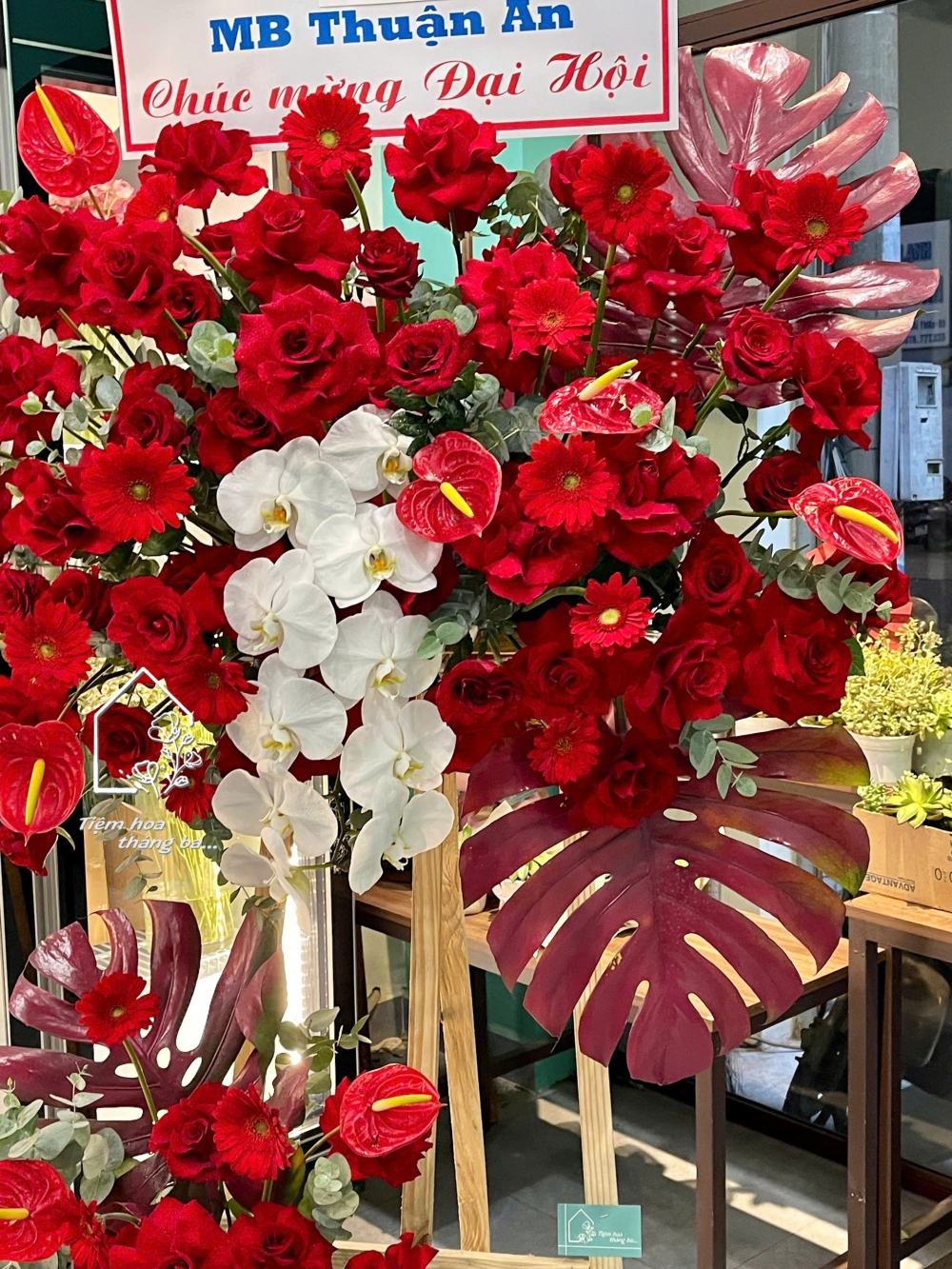 Z7704905985160 5d1986cf5a08e2202be59f954c490f12 Z7704905985160 5d1986cf5a08e2202be59f954c490f12