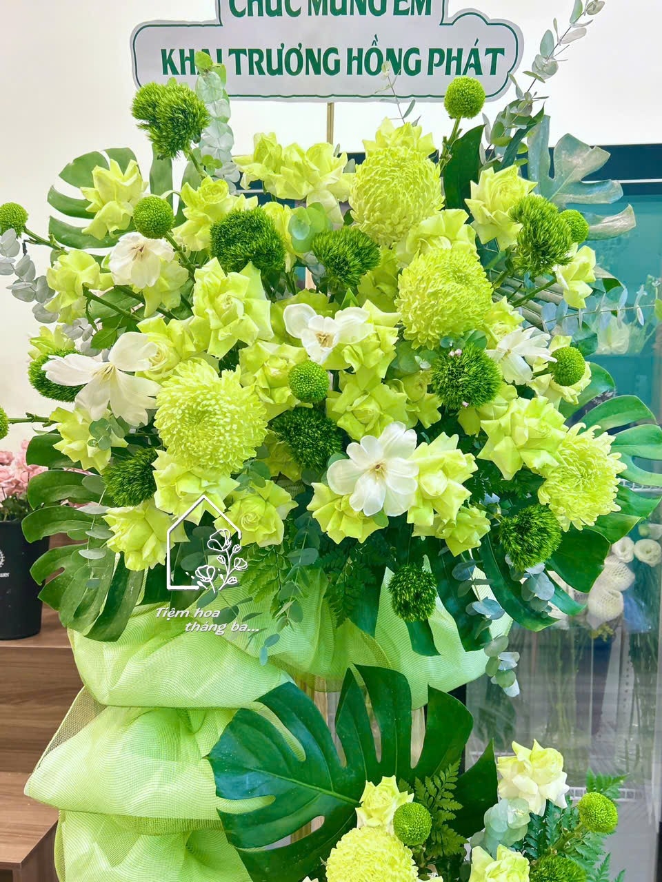 Z7704906146139 89f5e6c5795b5b20c6dbeeec958196cf Z7704906146139 89f5e6c5795b5b20c6dbeeec958196cf