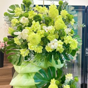 Z7704906154747 0b647852bee84e7f3df96b687decf651