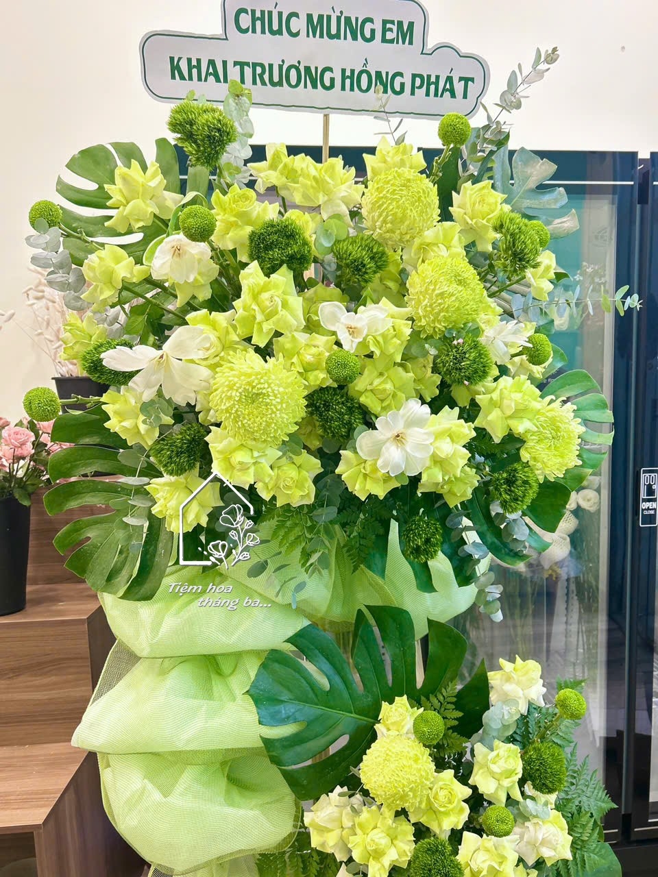 Z7704906154747 0b647852bee84e7f3df96b687decf651 Z7704906154747 0b647852bee84e7f3df96b687decf651