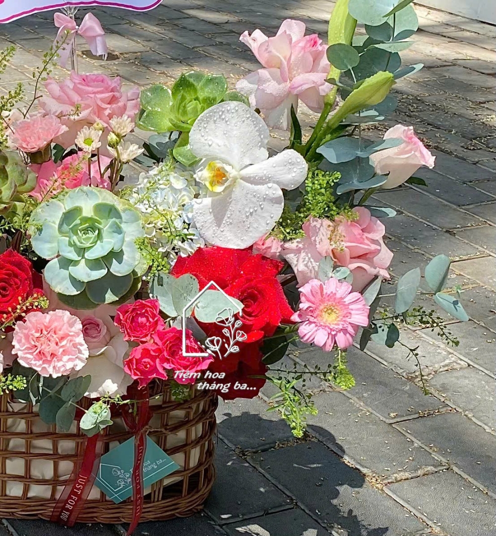 Z7704906445388 6abb277436ede6449d8269e4a78a7cf1 Z7704906445388 6abb277436ede6449d8269e4a78a7cf1