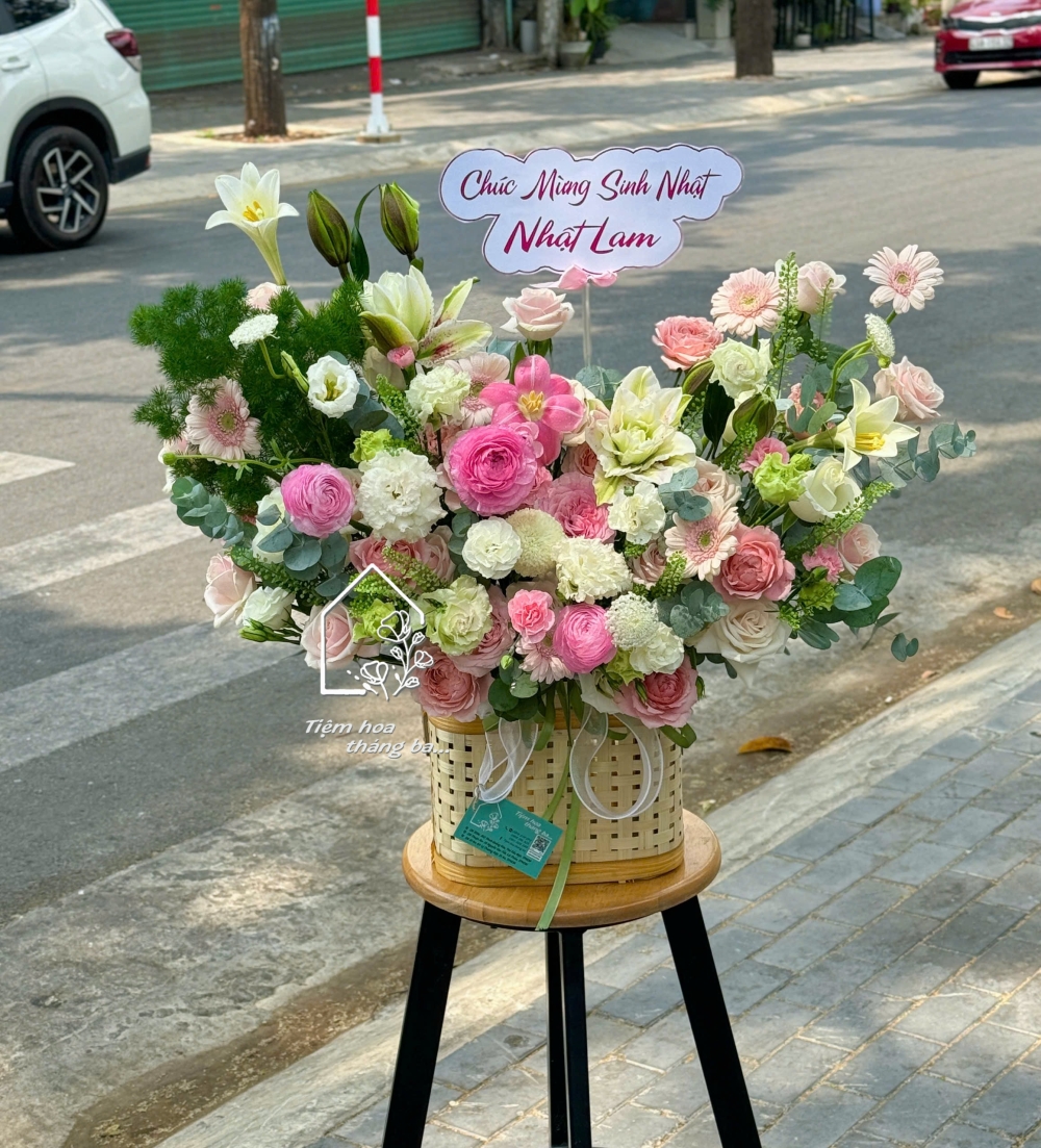 Z7715095738862 43b8c02ecc1c5b4faa4574c18fa0610f Z7715095738862 43b8c02ecc1c5b4faa4574c18fa0610f