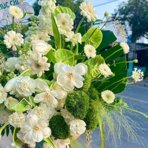 Z7738938401243 6194f23ce6cd2b101401a47b4ad9bf9b