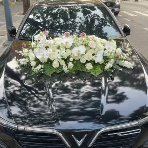 Z7767765164584 A8eaa3e015e7ecadf0848642bdea3472